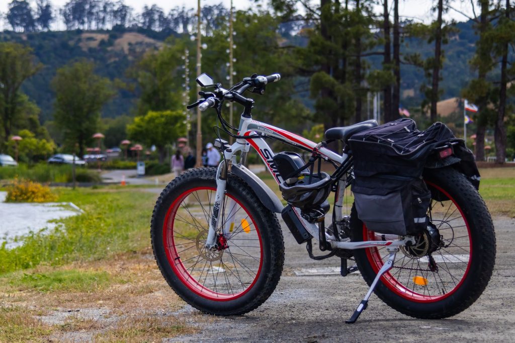 Fat-tire e-bike on a forest trail