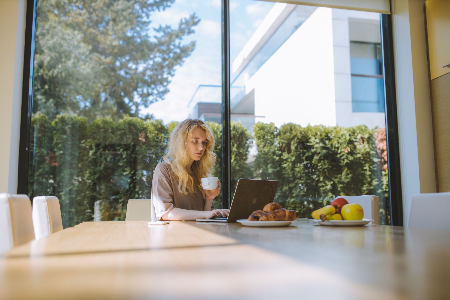 Best Power Backup for Working From Home 2025